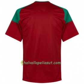 Jalkapallo Pelipaidat Marokko World Cup 2018 Kotipaita